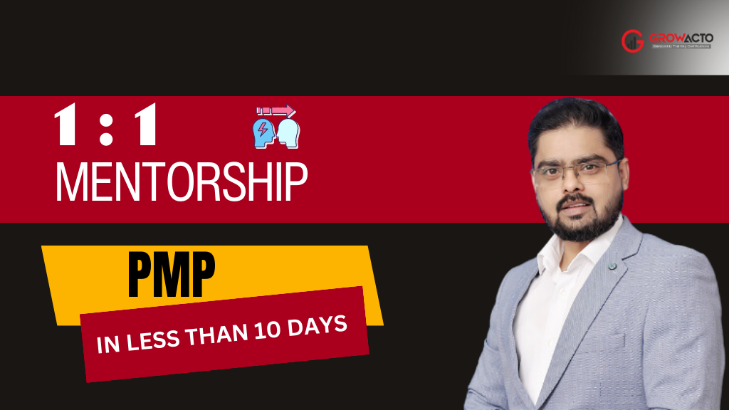 PMP 1:1 Mentorship